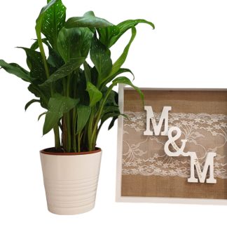 Okrasni okvir z začetnicami